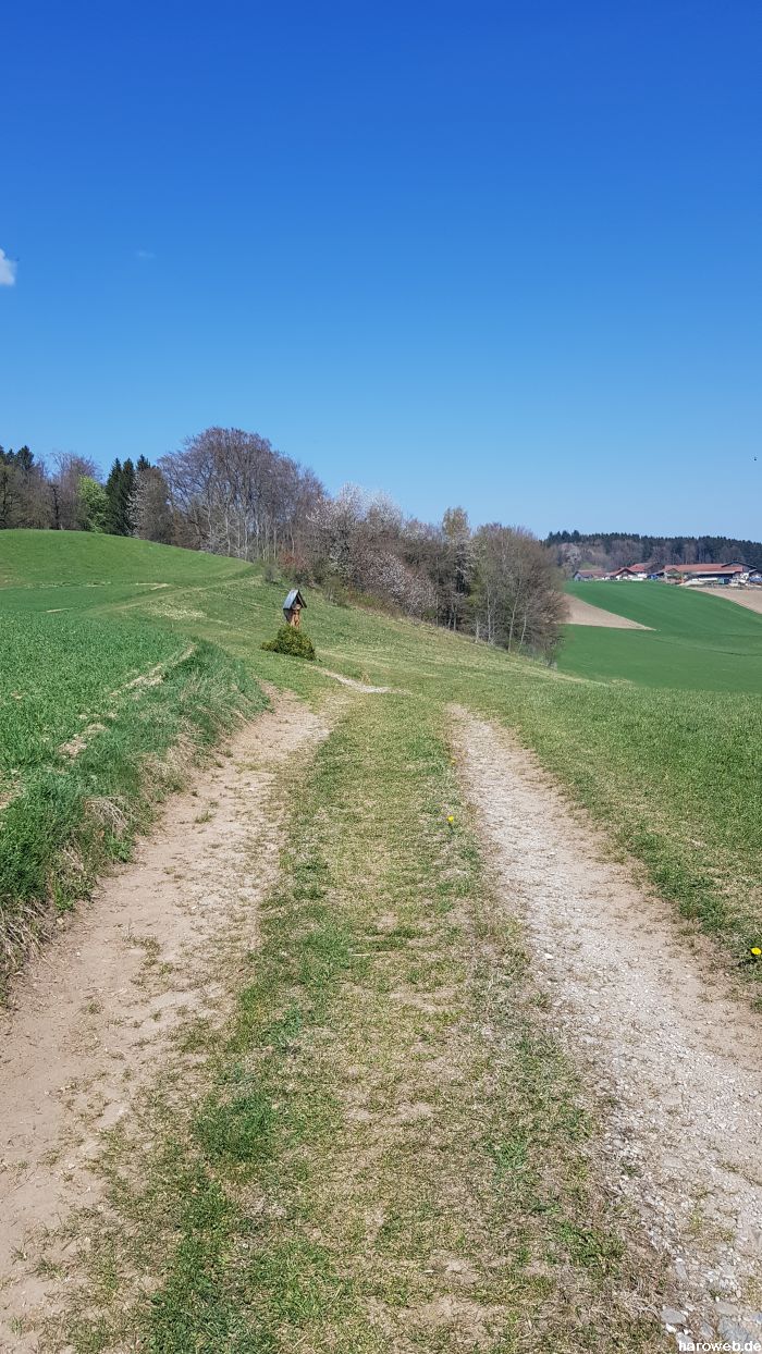 Hier fehlt noch das Bild